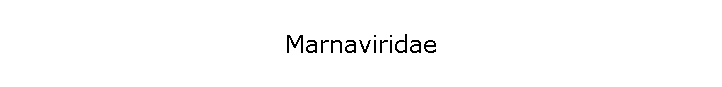 Marnaviridae